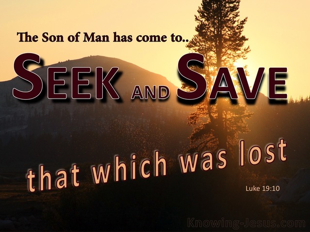Luke 19:10 The Son Has Come To Seek and To Save The Lost (brown)
